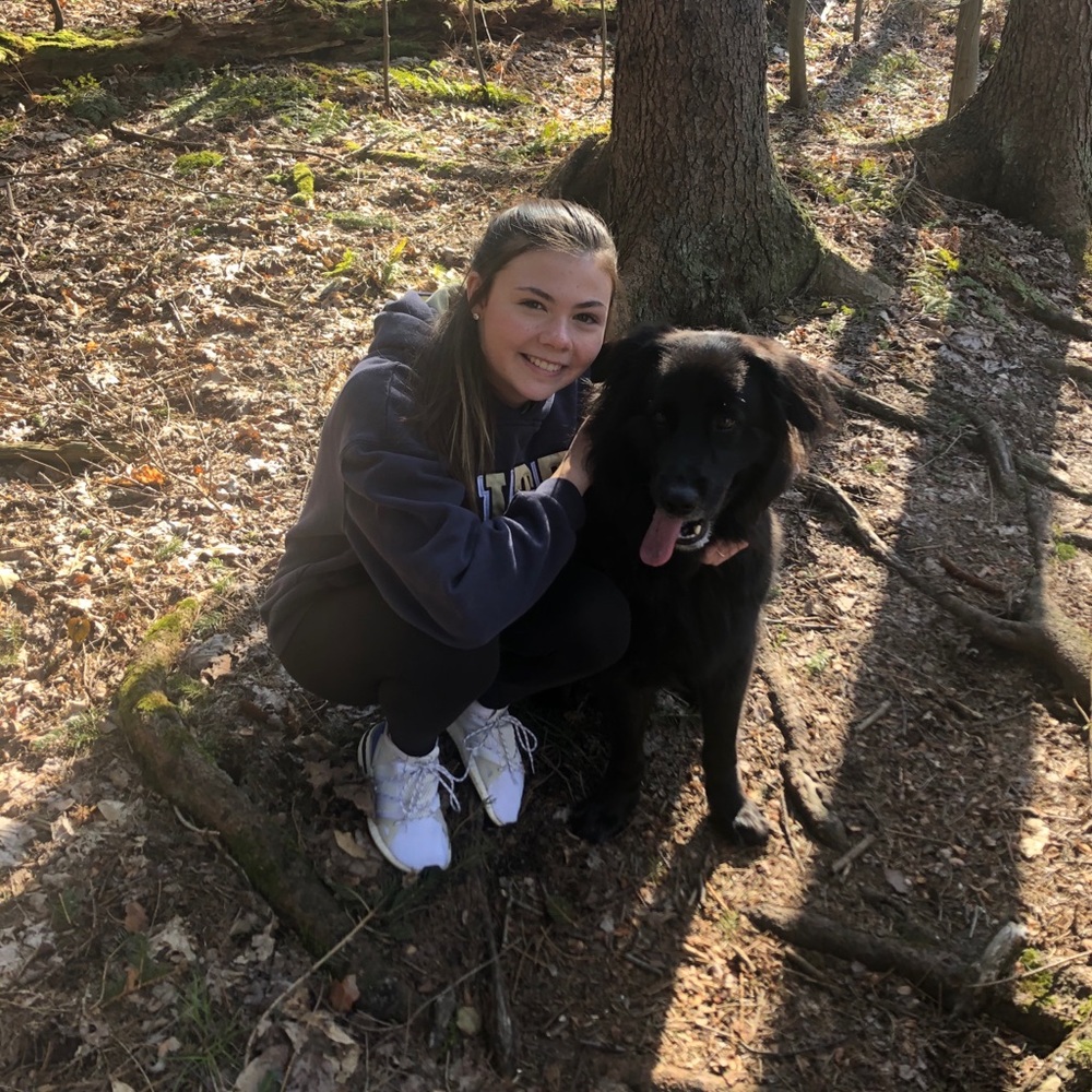 Meet your Posher, Ally